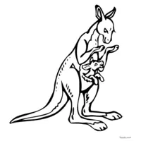 free printable kangaroo drawing