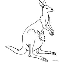 kangaroo drawing to print and color