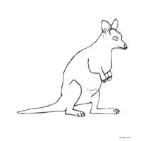 printable kangaroo coloring page