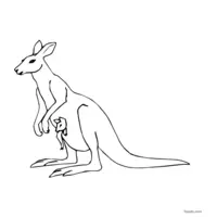 kangaroo clip art for coloring