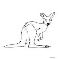 free printable kangaroo image