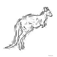 printable kangaroo drawing