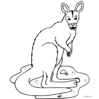 kangaroo image to color