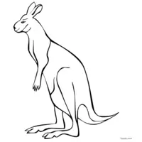 black and white kangaroo drawing to color