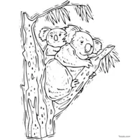 koala drawing to color