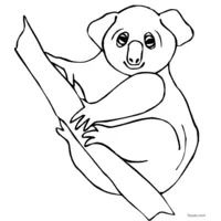 cute koala to color