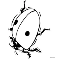 Ladybug drawing to color coloring page