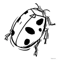 Orange and black ladybug coloring page