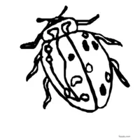 Gray-spotted ladybug coloring page