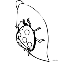 Ladybug on a leaf coloring page