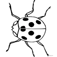 Close-up ladybug coloring page