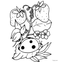 Ladybug near a strawberry plant coloring page