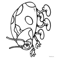 Beautiful red and black ladybug coloring page