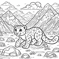 Coloring of a leopard in the mountains