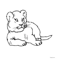 lion image for coloring