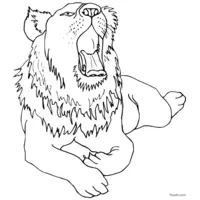 lion sketch for coloring