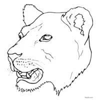 black and white lion coloring page