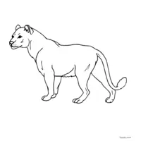 lion image to color