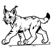 Lynx Walking Gently Coloring Page