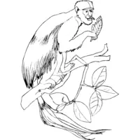 Printable monkey coloring page 17