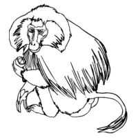 Printable monkey coloring page 24