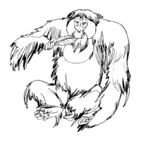 Printable monkey coloring page 26