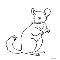 Black and white mouse coloring