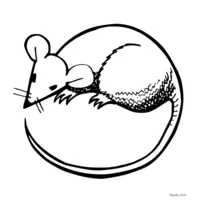 Printable mouse coloring page