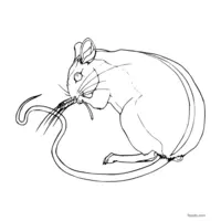 Mouse image to color