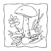 Mushroom coloring N°16