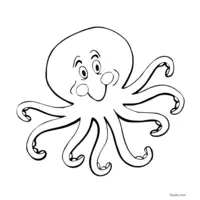 Smiling octopus