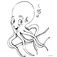 Super cute octopus