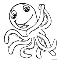 Funny octopus