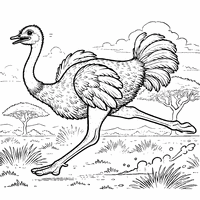 Ostrich Running in the Savannah | Toupty.com