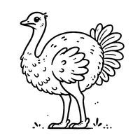 Simplified Ostrich with Soft Lines | Toupty.com