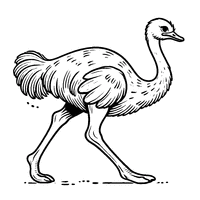 Ostrich Walking, Simplified and Accessible | Toupty.com