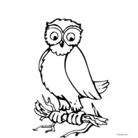 owl sketch to color