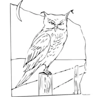 clip art owl to print and color