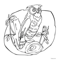 GIF owl to color after printing