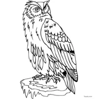 owl image to print and color