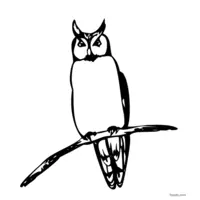 free owl drawing to print