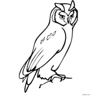 free owl sketch to color