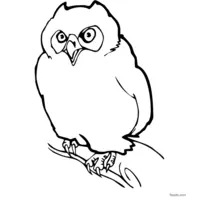 free owl drawing to print