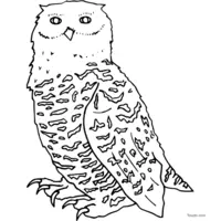 owl drawing for coloring