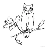 owl sketch for coloring