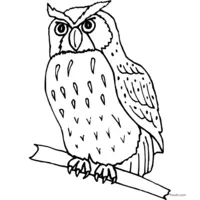 black and white owl clip art to print