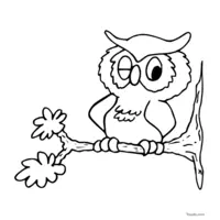 owl sketch to color