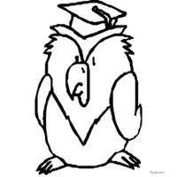 owl clip art to color