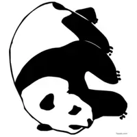 Black and white panda