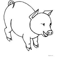 Cute little pig coloring page